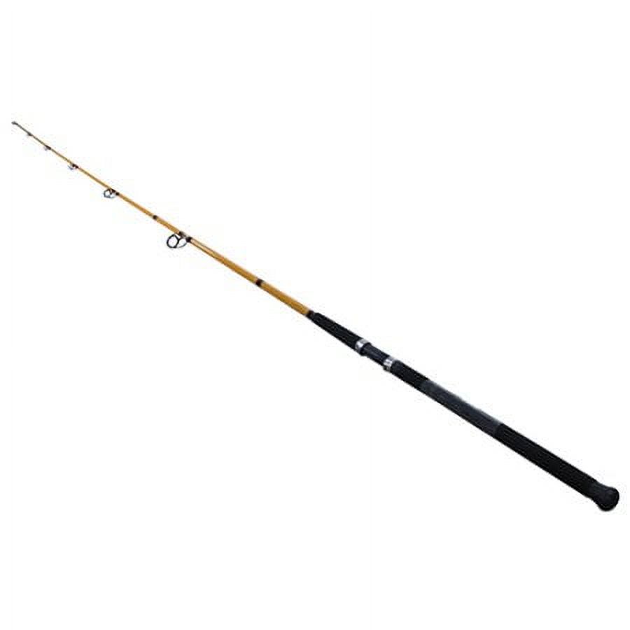 FT Series Fiberglass Surf Spin - Fishing Rod Spinning reseña y precio